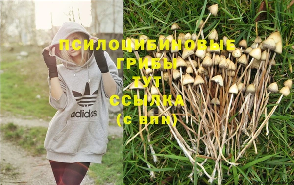 гашик Балабаново