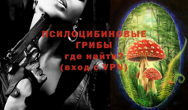 дмт Аркадак