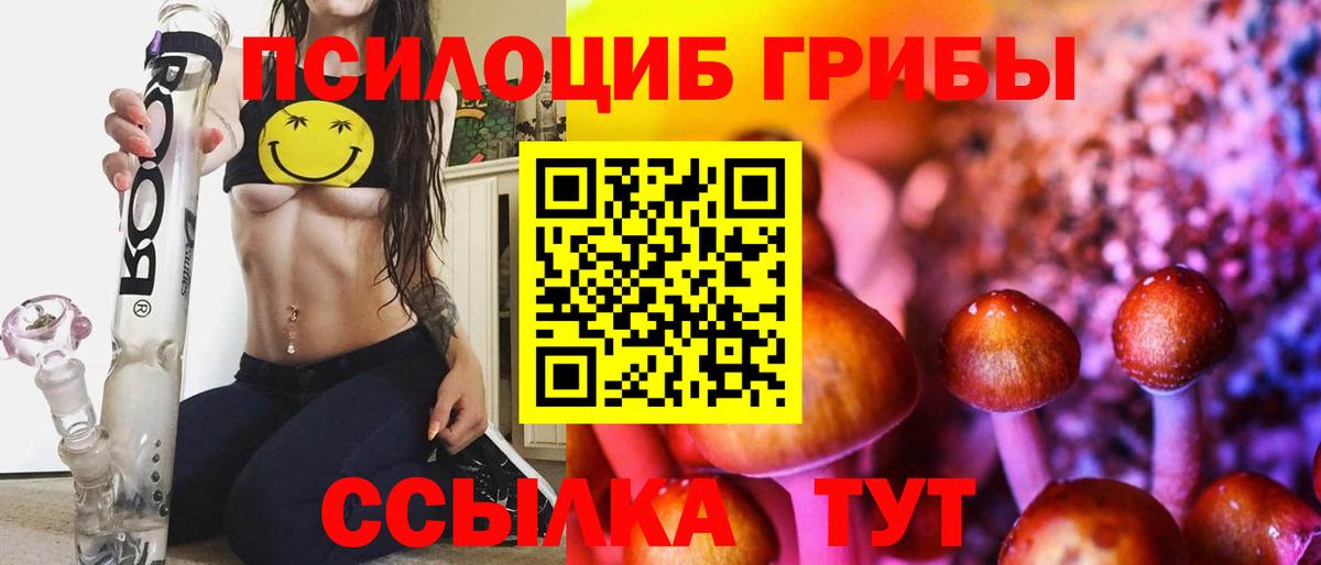 Псилоцибиновые грибы мухоморы  Псилоцибиновые грибы Psilocybine cubensis  Вход с VPN  где купить наркоту  Серов 